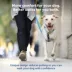 PetSafe® Easy Walk Dog Harness, Comfort Harness, No Pull, Premium Foam, Multiple Sizes & Colors image thumbnail 2