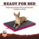 Product Arcadia Trail® Folded Travel Dog Bed