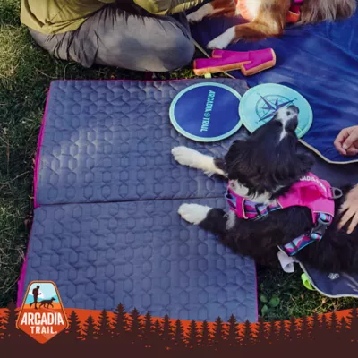 Product Arcadia Trail® Folded Travel Dog Bed