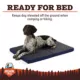 Product Arcadia Trail® Folded Travel Dog Bed