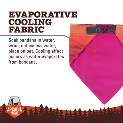 Product Arcadia Trail® Cooling Reflective Dog Bandana