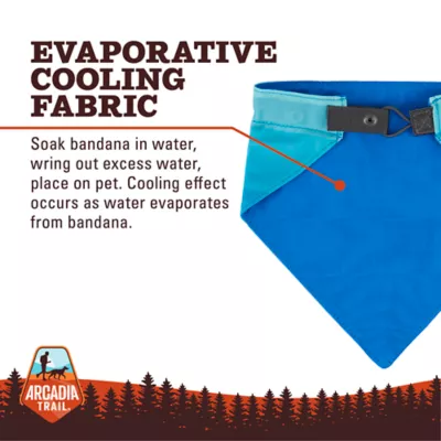 Product  Arcadia Trail Cooling Reflective Dog Bandana