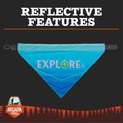 Product  Arcadia Trail Cooling Reflective Dog Bandana