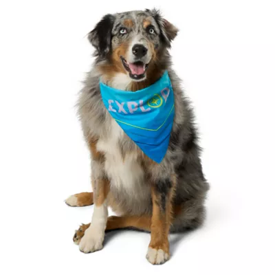 Product  Arcadia Trail Cooling Reflective Dog Bandana