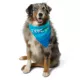 Product  Arcadia Trail Cooling Reflective Dog Bandana