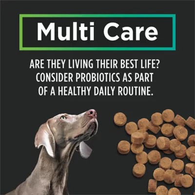 Purina Pro Plan Veterinary Supplements Multi Care Canine Chew, Dog Supplement - Image 5