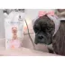 Warren London Cleopatra Dog Milk Bath image thumbnail 5
