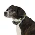Arcadia Trail® Adjustable, Reflective, Durable, Rope Dog Collar image thumbnail 1