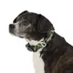 Product Arcadia Trail™ Rope Reflective Dog Collar