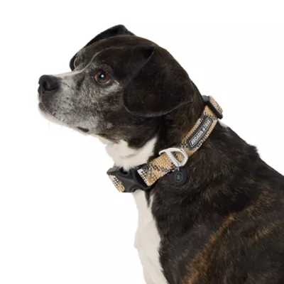 Arcadia Trail® Rope Dog Collar, Durable, Reflective, Adjustable, Multiple Colors & Sizes - Image 1