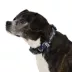 Arcadia Trail® Adjustable, Reflective, Durable, Rope Dog Collar image thumbnail 1