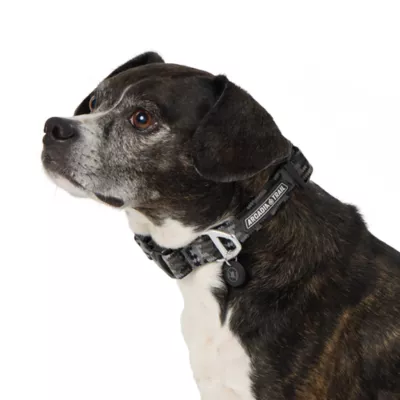 Arcadia Trail® Adjustable, Reflective, Durable, Rope Dog Collar - Image 1