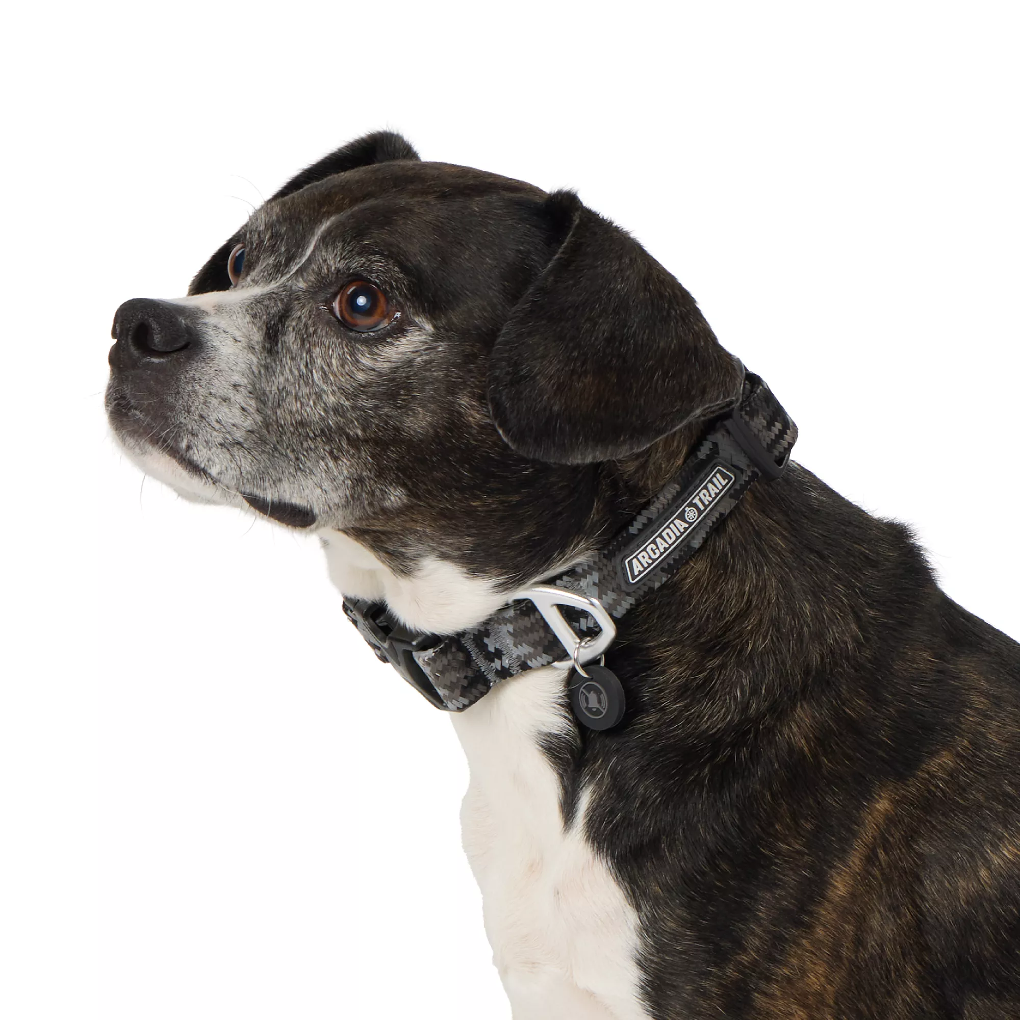 Arcadia Trail® Paracord Dog Collar