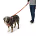 Arcadia Trail® Breathable Knit Dog Leash image thumbnail 2