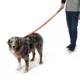 Product Arcadia Trail® Breathable Knit Dog Leash