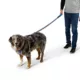 Product Arcadia Trail® Breathable Knit Dog Leash