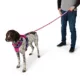 Product Arcadia Trail® Lightweight Paracord Rope Dog Leash