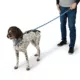 Product Arcadia Trail® Lightweight Paracord Rope Dog Leash