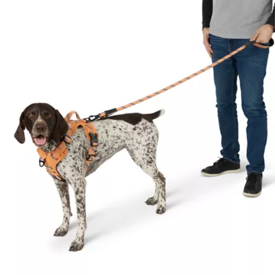 Product Arcadia Trail® Paracord Rope Dog Leash, 4 ft