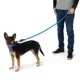 Product Arcadia Trail® Paracord Rope Dog Leash, 4 ft