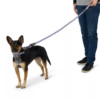 Product Arcadia Trail® Paracord Rope Dog Leash, 4 ft