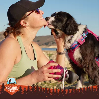 Product Arcadia Trail® Silicone Dog Tag Silencer