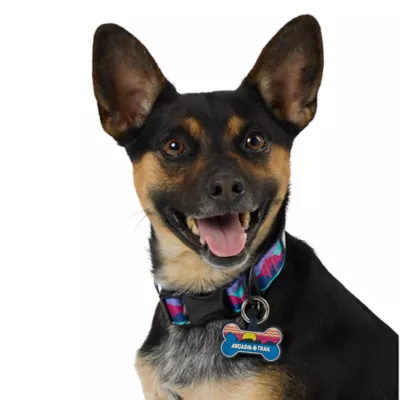 Product Arcadia Trail® Silicone Dog Tag Silencer
