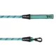 Product Arcadia Trail® Paracord Rope Dog Leash, 4 ft