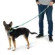 Product Arcadia Trail® Paracord Rope Dog Leash, 4 ft