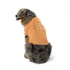 Product Arcadia Trail® Icons High Visibility Dog Shirt