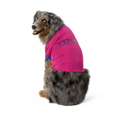 Product Arcadia Trail® Explore High Visibility Dog Shirt