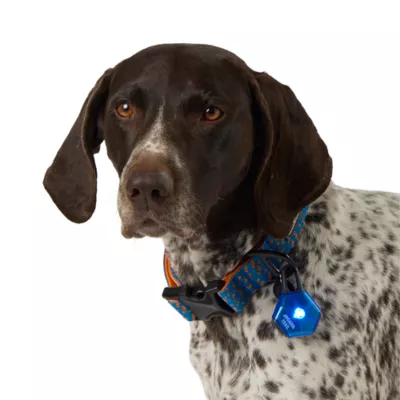 Product Arcadia Trail® LED Light Charm Accessory