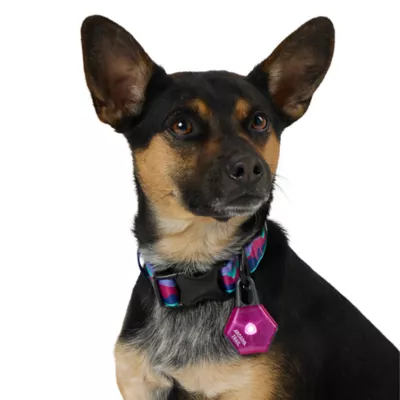 Product Arcadia Trail® LED Light Charm Accessory