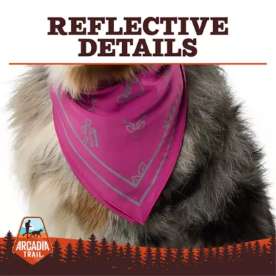 Product Arcadia Trail® Icons High Visibility Dog Bandana