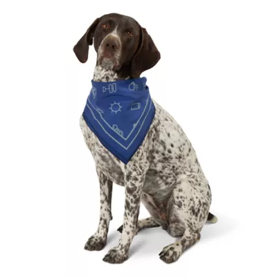 Product Arcadia Trail® Icons High Visibility Dog Bandana