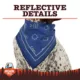 Product Arcadia Trail® Icons High Visibility Dog Bandana