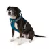 Arcadia Trail® Adjustable, Reflective Thread, Lightweight Dog Harness image thumbnail 1