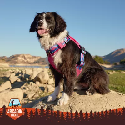 Arcadia Trail® Adjustable, Reflective Thread, Lightweight Dog Harness - Image 6