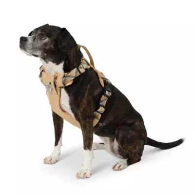 Arcadia Trail® Adjustable, Reflective Thread, Lightweight Dog Harness - Image 1