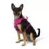 Arcadia Trail® Adjustable, Reflective Thread, Quick Dry Dog Harness image thumbnail 1