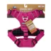 Arcadia Trail® Quick Dry Dog Harness image thumbnail 8