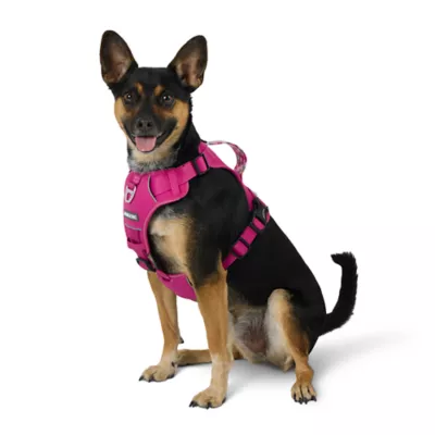 Arcadia Trail® Quick Dry Dog Harness - Image 1