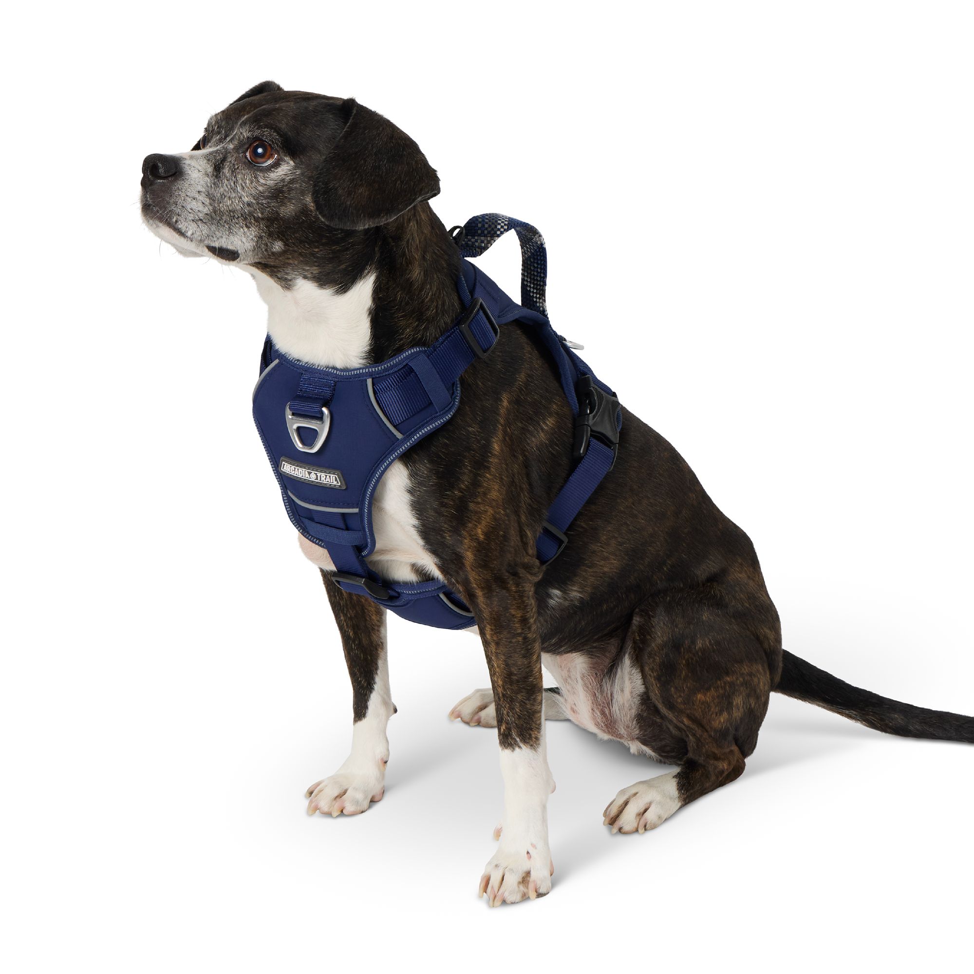 Arcadia Trail Dog Petsmart Small Dog Harness Pet Supplies Arcadia