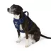 Arcadia Trail® Adjustable, Reflective Thread, Quick Dry Dog Harness image thumbnail 1