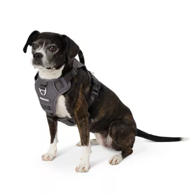 Arcadia Trail® Adjustable, Reflective Thread, Quick Dry Dog Harness - Image 1