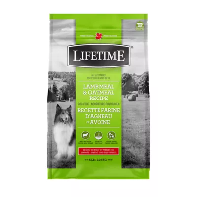 Product Lifetime Digestive Support All Stages Dry Dog Food -  Lamb