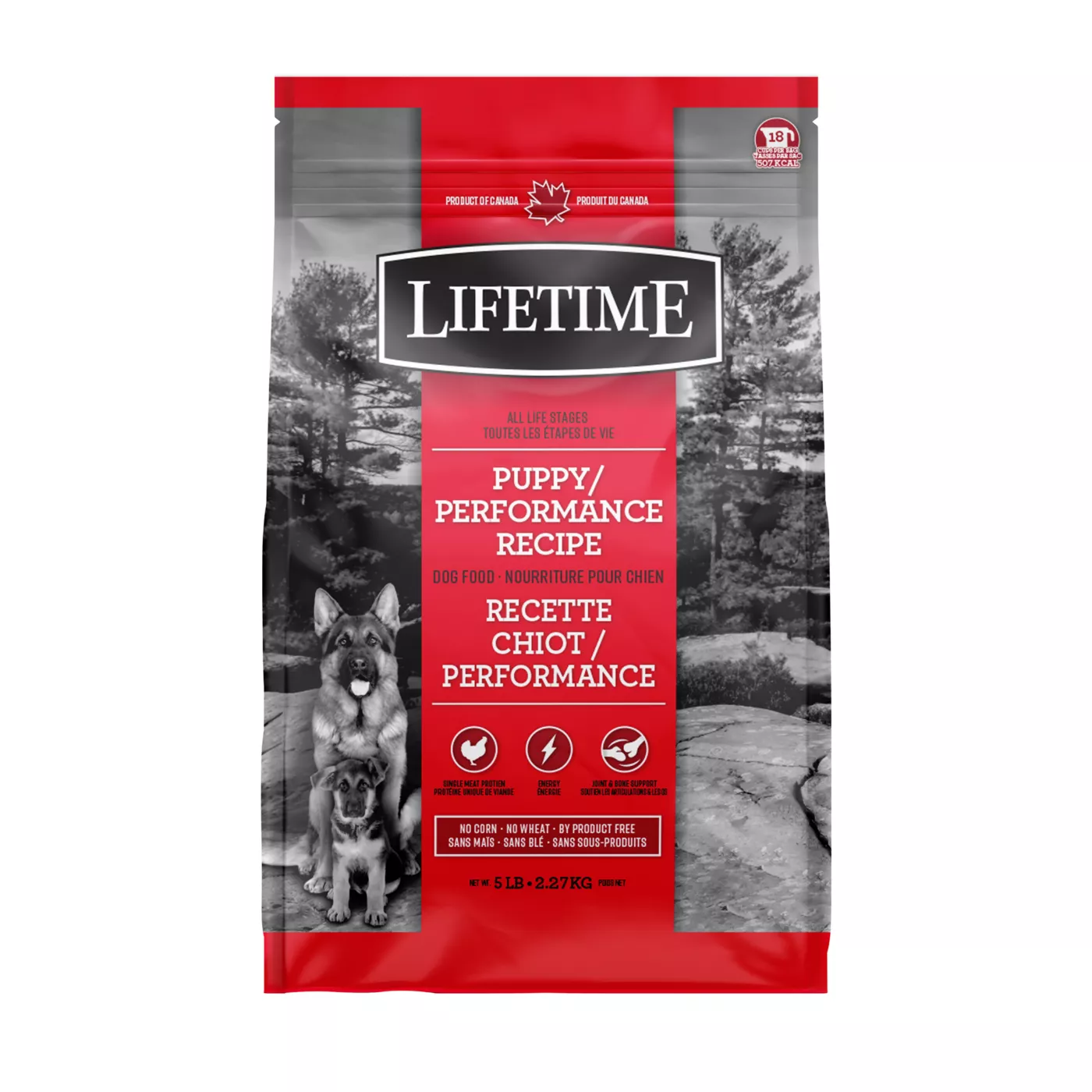 Lifetime Performance Adult Dry Dog Food Chicken