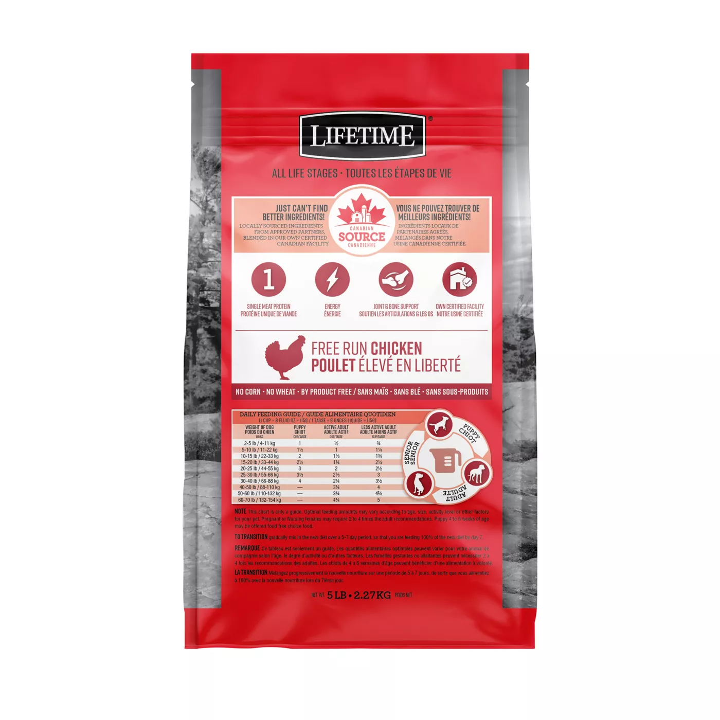 Lifetime performance dog food best sale