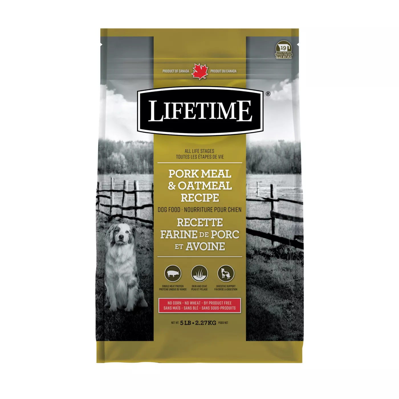 Lifetime Skin & Coat All Stages Dry Dog Food Pork