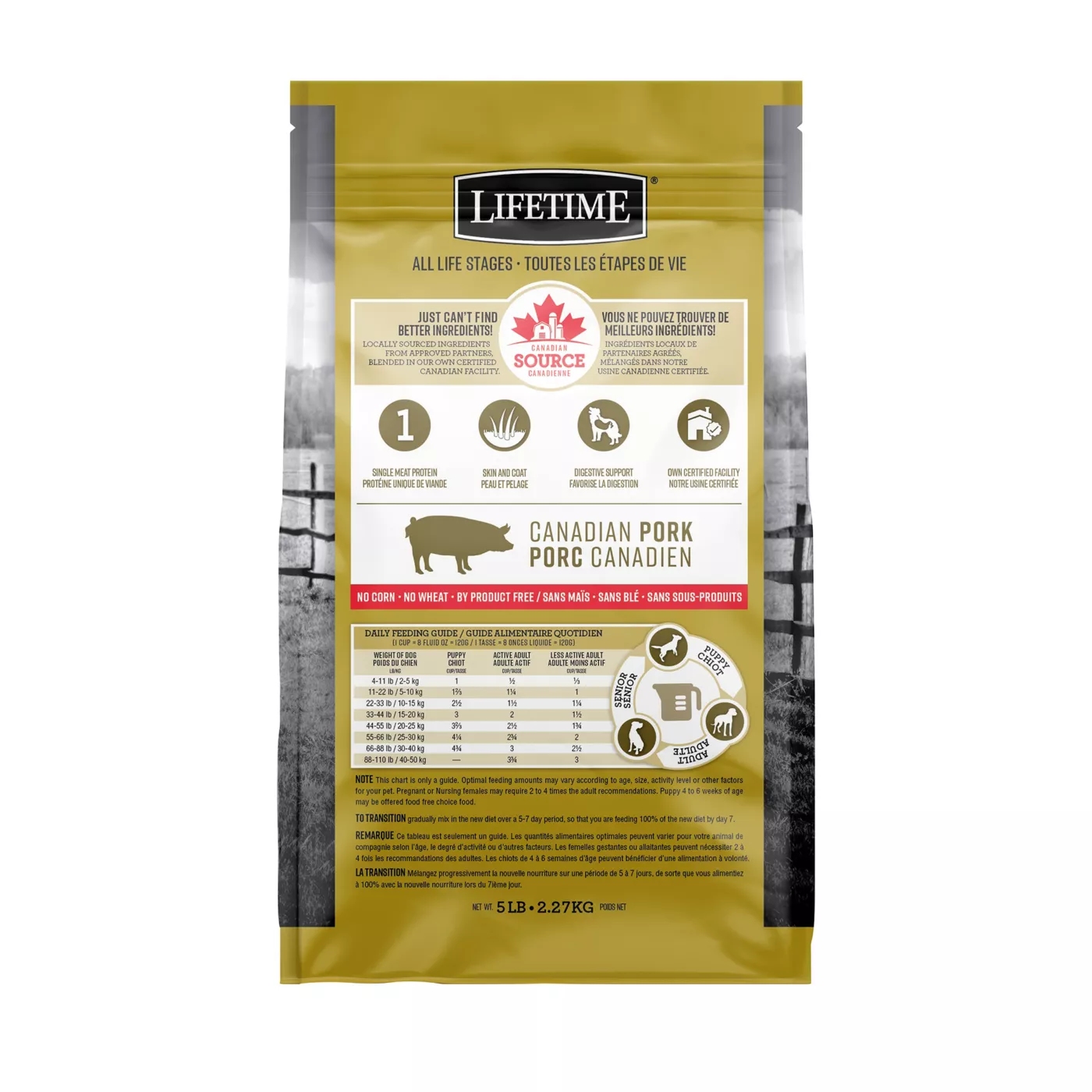 Lifetime Skin & Coat All Stages Dry Dog Food Pork